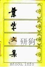 叶紫文集（1983 PDF版）