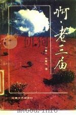 啊,老三届 1988 PDF电子版封面 7539601191 肖复兴,肖复华著