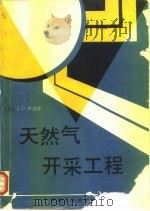 天然气开采工程（1990 PDF版）