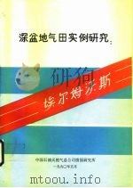 深盆地气田实例研究：埃尔姆沃斯（ PDF版）