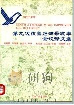 第九次改善石油采收率会议译文集  上（1995 PDF版）
