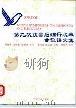 第九次改善石油采收率会议译文集（1995 PDF版）
