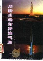 用射孔枪打开油气层（1991 PDF版）