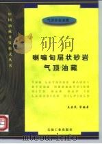 喇嘛甸层状砂岩气顶油藏（1996 PDF版）