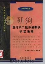 胜坨沙二段多层断块砂岩油藏（1997 PDF版）