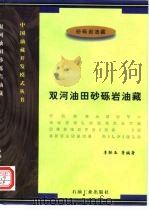 双河油田砂砾岩油藏（1997 PDF版）