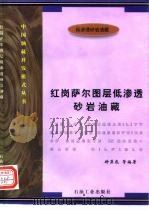 红岗萨尔图层低渗透砂岩油藏（1997 PDF版）