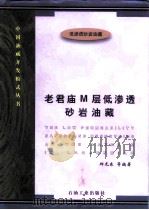 老君庙M层低渗透砂岩油藏（1998 PDF版）