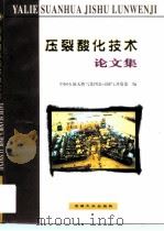 压裂酸化技术论文集（1999 PDF版）
