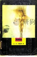 儿子和情人（1986 PDF版）