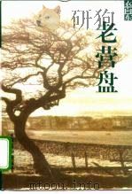 老营盘（1999 PDF版）