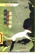 迷惘的梦（1988 PDF版）