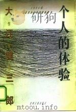 个人的体验（1995 PDF版）