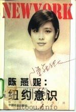 陈燕妮：纽约意识  她在大洋彼岸（1995 PDF版）