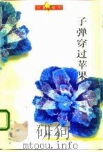 子弹穿过苹果（1995 PDF版）