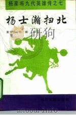 杨士瀚扫北（1995 PDF版）