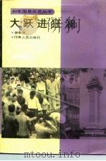 大跃进狂澜 1990 PDF电子版封面 721500709X 谢春涛著