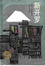 新开罗（1991 PDF版）