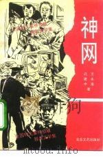 神网 全国特大案件侦破报告文学集 1993 PDF电子版封面 7537809623 武建中,王永海著