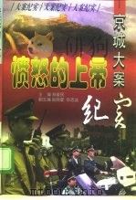 愤怒的上帝  京城大案纪实（1997 PDF版）