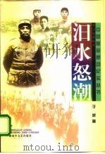 汨水怒潮  平江暴动纪实（1997 PDF版）