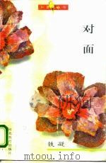 对面（1995 PDF版）