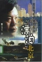 漂泊北京  流浪作家进京的自白（1998 PDF版）