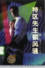 特区先生领风骚（1992 PDF版）