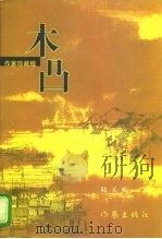 木凸 1998 PDF电子版封面 7506312484 陆天明著