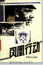 凤凰行动（1986 PDF版）