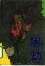 黑劫（1995 PDF版）