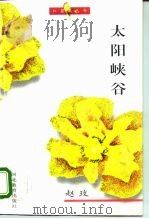 太阳峡谷（1995 PDF版）