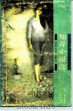 知青小说选（1986 PDF版）