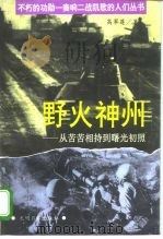 野火神州  从苦苦相持到曙光初照（1995 PDF版）