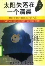 太阳失落在一个清晨  献给关怀过单亲孩子的人们（1996 PDF版）