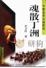 魂散丁洲 1996 PDF电子版封面 750330734X 史卫民著