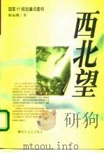 西北望（1996 PDF版）