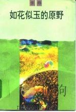 如花似玉的原野 1995 PDF电子版封面 7020021980 张炜著