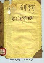高分子物化学原理（1960 PDF版）