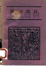 钢的氮化（1979 PDF版）