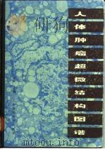 人体肿瘤超微结构图谱（1984 PDF版）