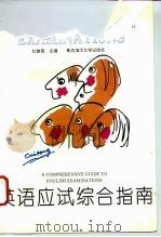 英语应试综合指南（1994 PDF版）
