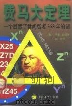 费马大定理  一个困惑了世间智者358年的谜（1998 PDF版）