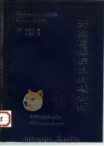 开放谐振腔的时域分析（1996 PDF版）
