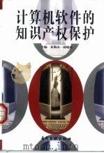 计算机软件的知识产权保护（1999 PDF版）