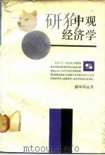 中观经济学（1988 PDF版）