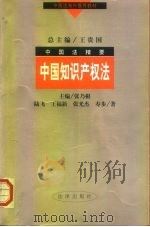 中国知识产权法 1999 PDF电子版封面 7503629126 张乃根主编;陆飞等著