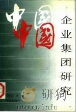 中国企业集团研究（1996 PDF版）