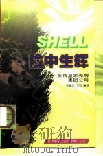 险中生辉  英荷皇家壳牌集团公司   1997  PDF电子版封面  7205036852  朱福东，卫弘编著 