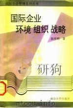 国际企业：环境、组织、战略（1995 PDF版）